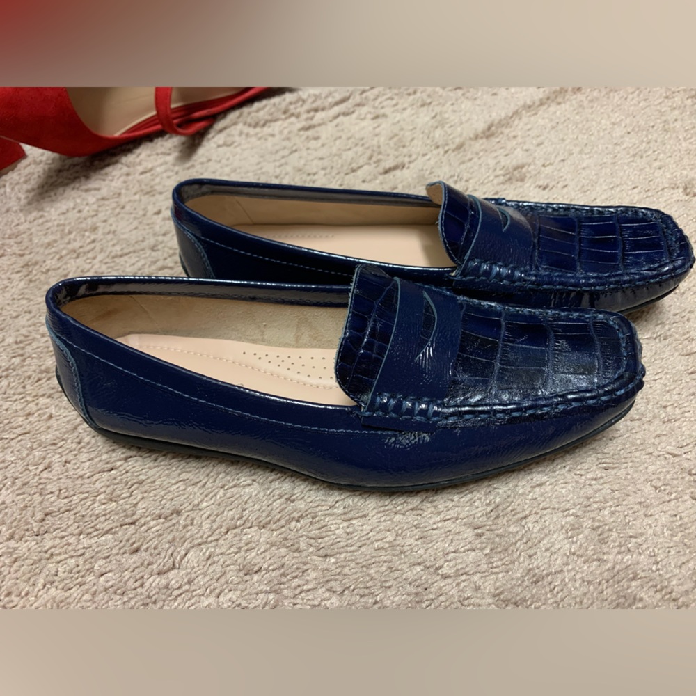 Blue Aldo Nero Moccasin